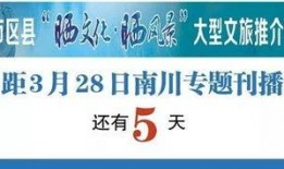 怎样爆料南川新闻,如何成为信息先锋