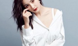 姓杨的明星爆料视频