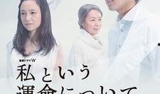 我的命运在线观看,在线揭秘人生轨迹