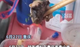 吃出老鼠头的爆料视频,吃出老鼠头，食品安全再引关注
